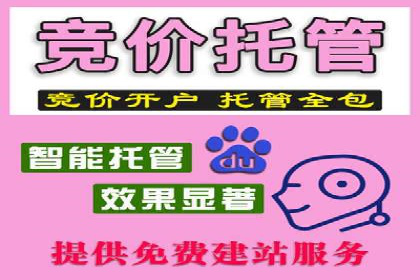 某品牌信息流代运营策略的调整与优化